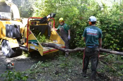 tree services St. George